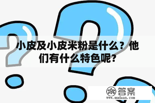 小皮及小皮米粉是什么？他们有什么特色呢？