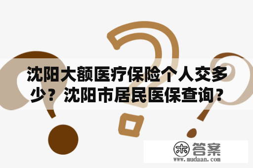 沈阳大额医疗保险个人交多少？沈阳市居民医保查询？