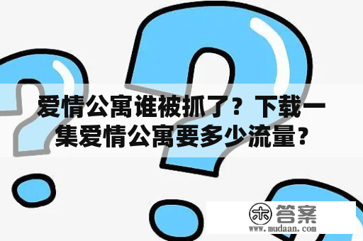 爱情公寓谁被抓了？下载一集爱情公寓要多少流量？