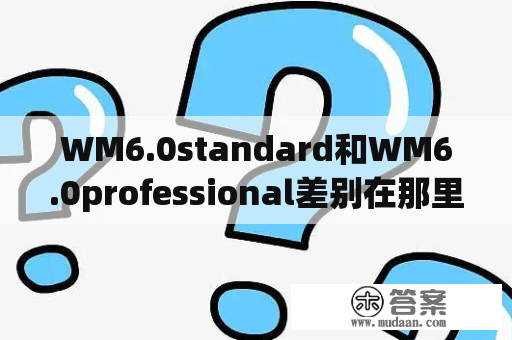 WM6.0standard和WM6.0professional差别在那里？多普达d700