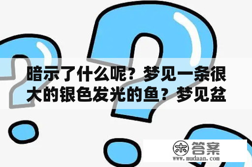 暗示了什么呢？梦见一条很大的银色发光的鱼？梦见盆里有四条鱼？