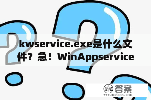 kwservice.exe是什么文件？急！WinAppservice.exe是什么文件?可不可以删除？