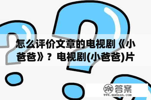 怎么评价文章的电视剧《小爸爸》？电视剧(小爸爸)片尾歌叫什么名字？