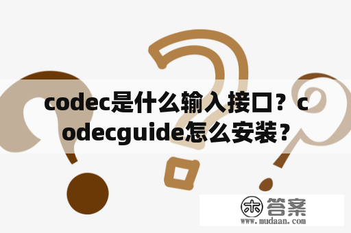 codec是什么输入接口？codecguide怎么安装？