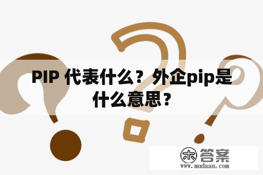 PIP 代表什么？外企pip是什么意思？