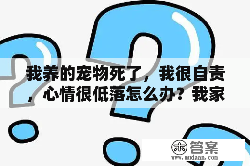 我养的宠物死了，我很自责，心情很低落怎么办？我家的狗狗死了，可是我总忘不了，想起来就很心痛怎么办？