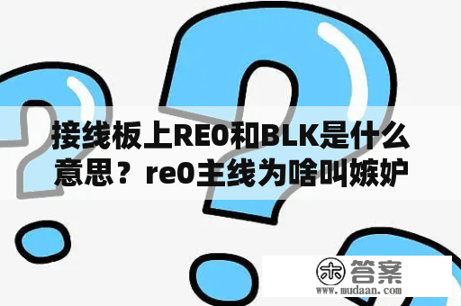 接线板上RE0和BLK是什么意思？re0主线为啥叫嫉妒线？