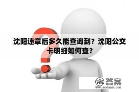 沈阳违章后多久能查询到？沈阳公交卡明细如何查？