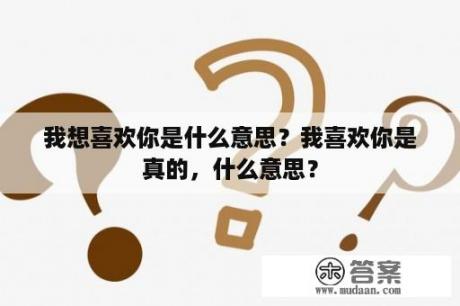 我想喜欢你是什么意思？我喜欢你是真的，什么意思？