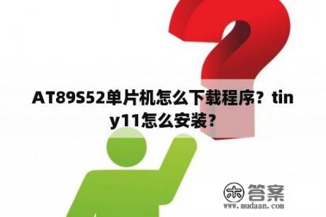 AT89S52单片机怎么下载程序？tiny11怎么安装？