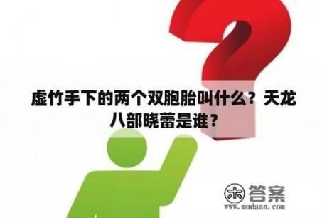 虚竹手下的两个双胞胎叫什么？天龙八部晓蕾是谁？