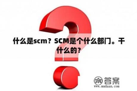 什么是scm？SCM是个什么部门。干什么的？