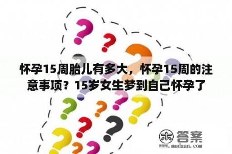 怀孕15周胎儿有多大，怀孕15周的注意事项？15岁女生梦到自己怀孕了