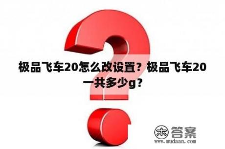 极品飞车20怎么改设置？极品飞车20一共多少g？