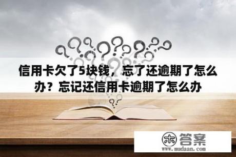 信用卡欠了5块钱，忘了还逾期了怎么办？忘记还信用卡逾期了怎么办