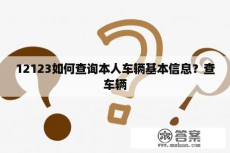 12123如何查询本人车辆基本信息？查车辆