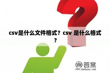 csv是什么文件格式？csv 是什么格式？