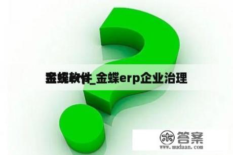 金蝶erp_金蝶erp企业治理
系统软件