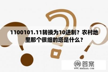 1100101.11转换为10进制？农村地里那个很细的塔是什么？