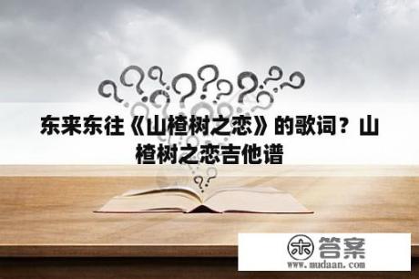 东来东往《山楂树之恋》的歌词？山楂树之恋吉他谱