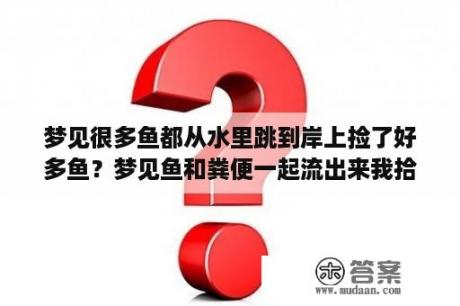 梦见很多鱼都从水里跳到岸上捡了好多鱼？梦见鱼和粪便一起流出来我拾了两条大鱼？