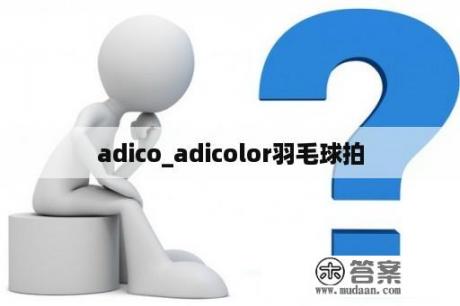 adico_adicolor羽毛球拍