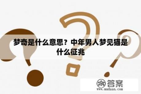 梦奇是什么意思？中年男人梦见猫是什么征兆