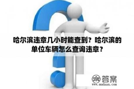 哈尔滨违章几小时能查到？哈尔滨的单位车辆怎么查询违章？