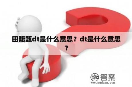 田馥甄dt是什么意思？dt是什么意思？