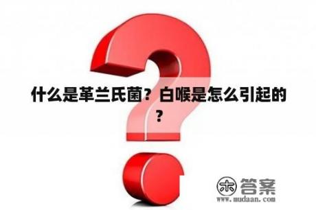 什么是革兰氏菌？白喉是怎么引起的？