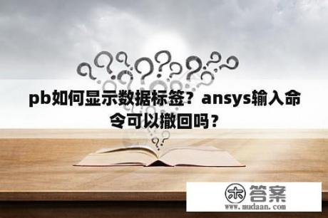 pb如何显示数据标签？ansys输入命令可以撤回吗？