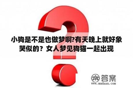 小狗是不是也做梦啊?有天晚上就好象哭似的？女人梦见狗猫一起出现