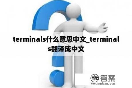 terminals什么意思中文_terminals翻译成中文