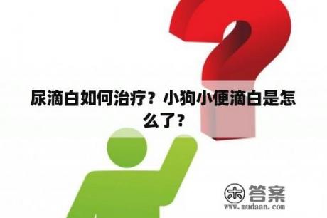 尿滴白如何治疗？小狗小便滴白是怎么了？