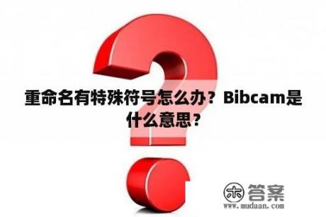 重命名有特殊符号怎么办？Bibcam是什么意思？