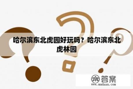 哈尔滨东北虎园好玩吗？哈尔滨东北虎林园