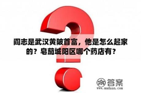 阎志是武汉黄陂首富，他是怎么起家的？皂茄城阳区哪个药店有？