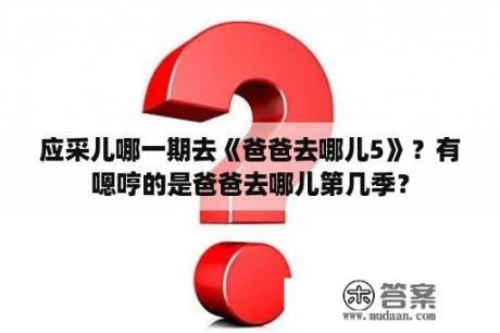 应采儿哪一期去《爸爸去哪儿5》？有嗯哼的是爸爸去哪儿第几季？