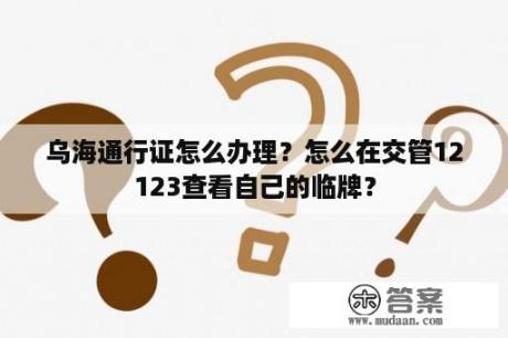 乌海通行证怎么办理？怎么在交管12123查看自己的临牌？