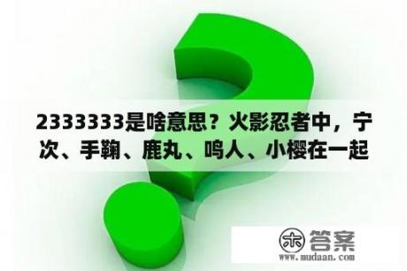 2333333是啥意思？火影忍者中，宁次、手鞠、鹿丸、鸣人、小樱在一起办过任务吗？