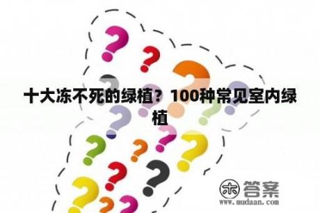 十大冻不死的绿植？100种常见室内绿植