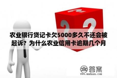 农业银行贷记卡欠5000多久不还会被起诉？为什么农业信用卡逾期几个月都起诉了