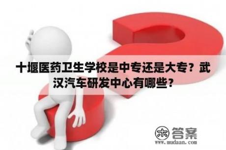 十堰医药卫生学校是中专还是大专？武汉汽车研发中心有哪些？