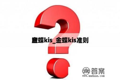 金蝶kis_金蝶kis准则
版