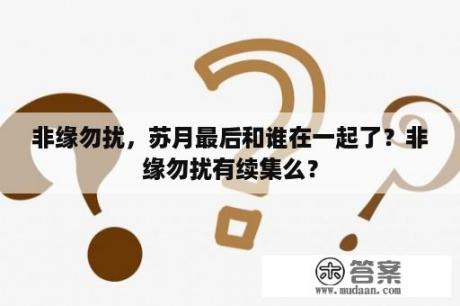 非缘勿扰，苏月最后和谁在一起了？非缘勿扰有续集么？