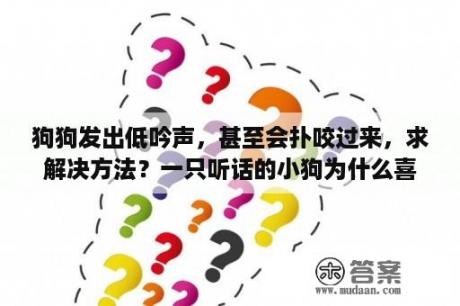 狗狗发出低吟声，甚至会扑咬过来，求解决方法？一只听话的小狗为什么喜欢扑咬？