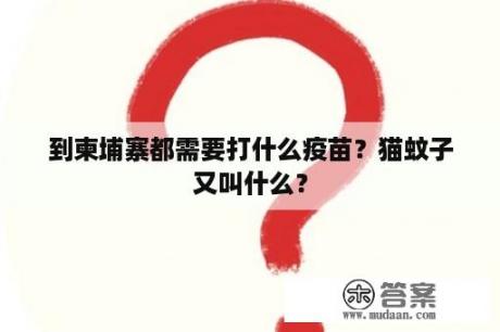 到柬埔寨都需要打什么疫苗？猫蚊子又叫什么？