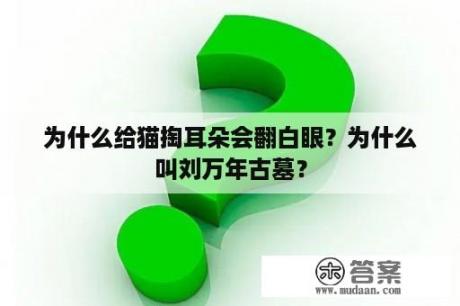 为什么给猫掏耳朵会翻白眼？为什么叫刘万年古墓？