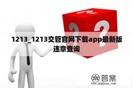 1213_1213交管官网下载app最新版违章查询