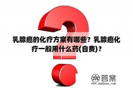 乳腺癌的化疗方案有哪些？乳腺癌化疗一般用什么药(自费)？